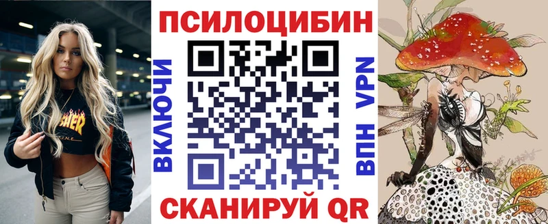 Купить  Злынка  Галлюциногенные грибы Psilocybe 